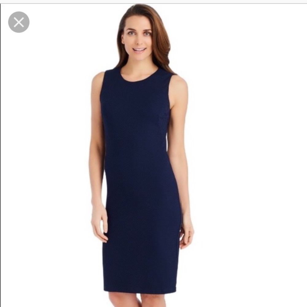 J. McLaughlin Sleeveless Devon Dress